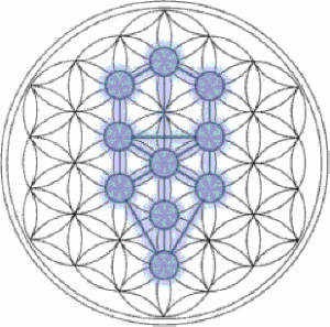 Kabbalah Tree of Life within the circle Sacred Geometry