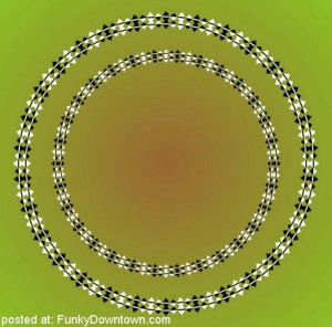 optical-illusion-continuous-spiral-line-concentric-circles-3